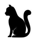 Exclusive Kitten breeders